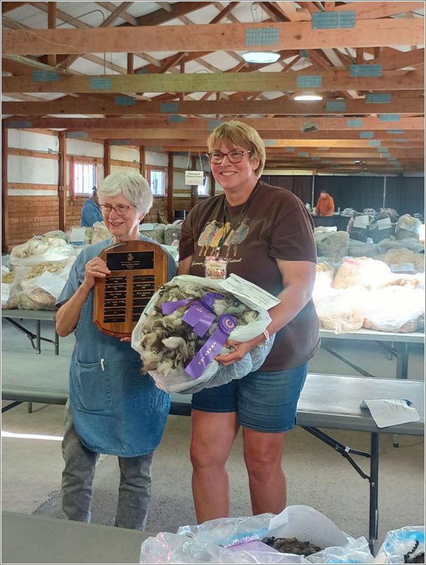 An Icelandic Fleece was awarded the overall Supreme Fleece Award at the Wisconsin Sheep & Wool Festival. Photo: Letty Klein